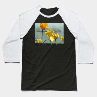 Yellow Tulips Baseball T-Shirt